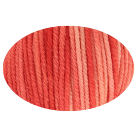 Simy's Hope DK 12 Tomorrow is another day  /  Rood Roze