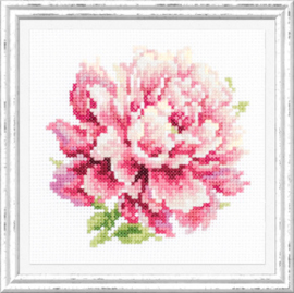 Borduurpakket Peony - Chudo Igla    ci-150-007