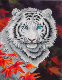 White Tiger in Autumn / Witte Tijger