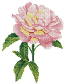 Diamond Dotz Pink Rose - Needleart World    nw-dd05-069