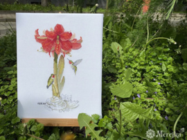 Borduurpakket Amaryllis - Merejka  mer-k202