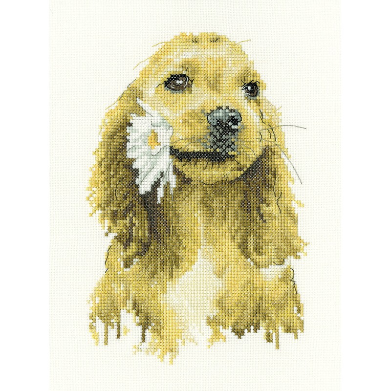 Borduurpakket Daisy Cocker Spaniel - Heritage Crafts    hc-1896a