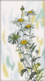 Borduurpakket Tender Daisies - RTO    rto-m00261