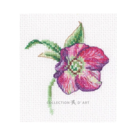 Borduurpakket Hellebore - RTO    rto-eh385