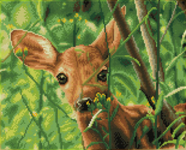 Diamond Dotz Forest Babe - Needleart World  nw-dq09-010