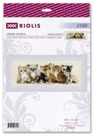 orduurpakket Kittens - RIOLIS     ri-2180