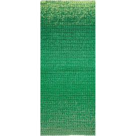 Ricorumi Spin Spin DK - 50g - 115m - groen - 013