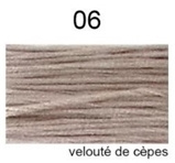 Dmc Mouliné Special / nieuwe kleur / Velouté de Cépes / 06