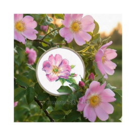 Borduurpakket Wild Rose - RTO    rto-eh383