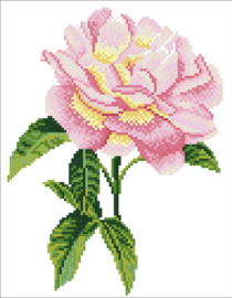 Diamond Dotz Pink Rose - Needleart World    nw-dd05-069