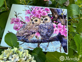 Borduurpakket Two Owls in Spring Blossom - Merejka    mer-k228