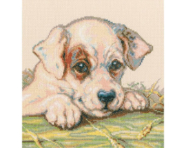 Borduurpakket Puppy - RTO  rto-m00711