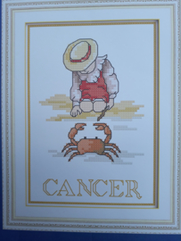 Cross Stitch / Cancer