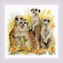 Borduurpakket Meerkats - RIOLIS / Katten ri-1761