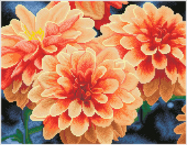 Diamond Dotz Peach Dahlias - Needleart World  nw-dq09-004