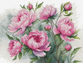 Borduurpakket The Charm of Peonies - Luca-S    ls-b7019