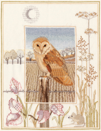 Borduurpakket Wildlife - Barn Owl - Bothy Threads   bt-dwwil03