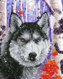 Diamond Dotz Forest Wolf - Needleart World    nw-dd10-040