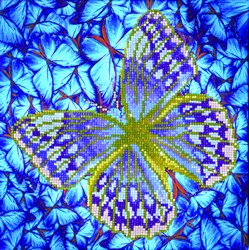 Diamond Dotz Flutterby Silver - Needleart World    nw-dd05-023