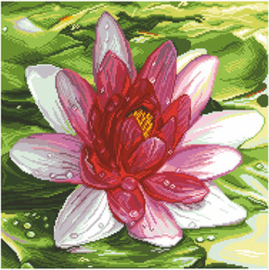 Voorbedrukt Aida Water Lily - Matryonin Posad    mp-1213