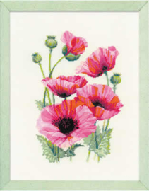 BORDUURPAKKET PINK POPPIES - RIOLIS  ri-1775