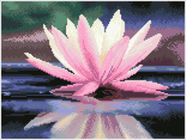 Diamond Dotz Reflections - Needleart World  nw-dq08-008