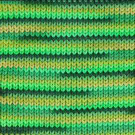 Scheepjes Catona Chroma - 015 Grassland - Meerkleurig Katoengaren