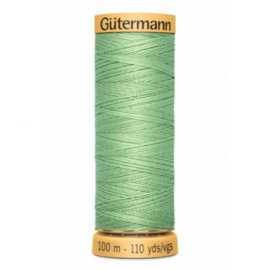Natuurzuivere katoen 100 meter C Ne 50 / licht groen 7880
