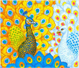 Romantic Peacocks / Mooie Pauw