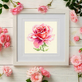 Borduurpakket (m) Pink Rose - Chudo Igla    ci-150-002