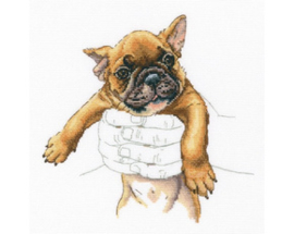 Borduurpakket In Palms - French Bulldog - RTO    rto-m00821