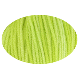 Simy's Hope DK 03 Good things come to those who …  /  Licht Groen