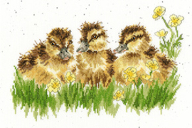 Borduurpakket Hannah Dale - Buttercup - Bothy Threads    bt-xhd78