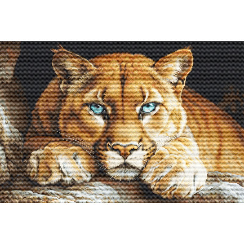 Borduurpakket The Wild Spirit - Luca-S    ls-bu5081