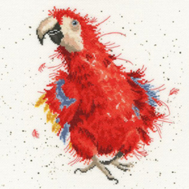 Boduurpakket Hannah Dale - Parrot On Parade - Bothy Threads    bt-xhd26