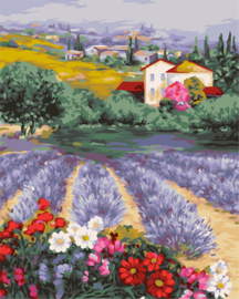 Schilderen op nummer Provencal Horizons - Collection d'Art  cda-pbn-a142