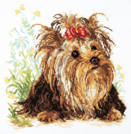 Borduurpakket Yorkshire Terrier - Chudo Igla (Magic Needle)    ci-059-013
