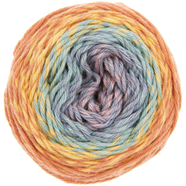 Ricorumi Spin Spin DK - 50g - 115m - regenboog - 019