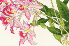 Borduurpakket Bothy Designs - Orchid Blooms - Bothy Threads   bt-xbd16