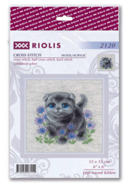 Borduurpakket Lop-eared Kitten - RIOLIS    ri-2120