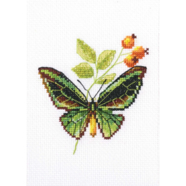 Borduurpakket Briar and Butterfly - RTO    rto-eh363
