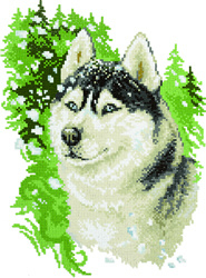 Diamond Painting Husky - Freyja Crystal    fc-alvr-016-062