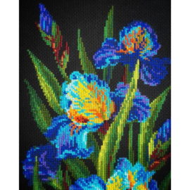Borduurpakket Beatuful Irises - RIOLIS - ri-2346