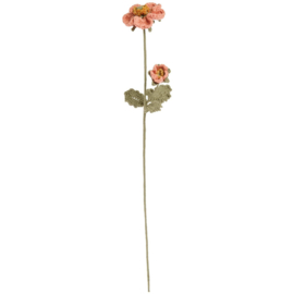 Creative Ricorumi - dk 25g - 57,5m - 383227.068 - Papaja