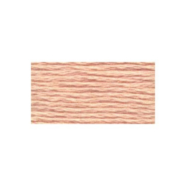 Venus Borduurgaren 25 - 2700