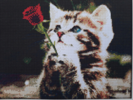 Cross Stitch / Wating for love