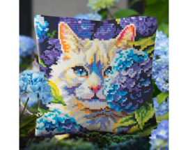 ✳ dieren