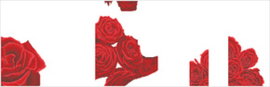 Diamond Dotz Rose Romance - Needleart World    nw-dd14-003