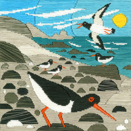 Borduurpakket Matt Johnson - Oyster Catchers - Bothy Threads    bt-ssmj02