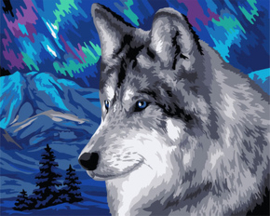 Schilderen op nummer Polar Wolf - Collection d'Art  cda-pbn-h150